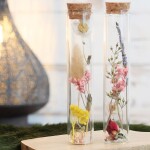 tube-en-verre-decoratif-fleurs-sechees-15-x-3-cm-1-pce-l-2