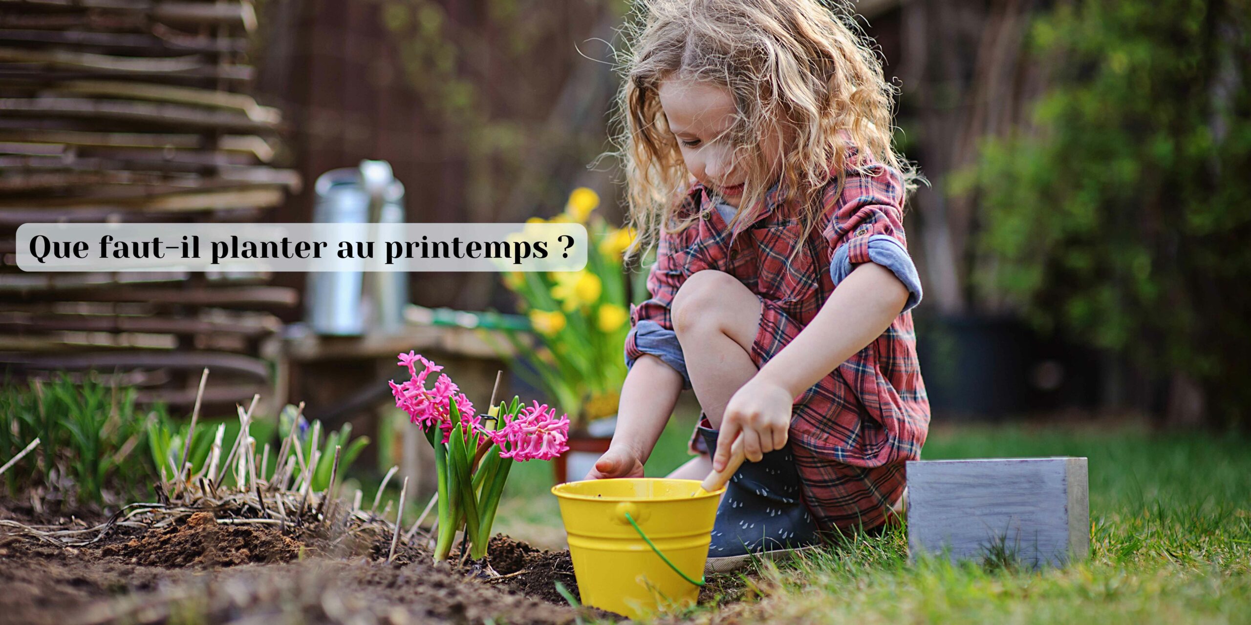 quoi planter au printemps ?